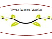 Logo Vivero Deodara Morelos