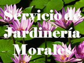 Servicio De Jardinería Morales