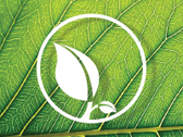 Logo Green 4 Life
