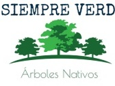Logo Árboles Nativos Siempre Verde