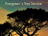 Evergreen´s Tree Service