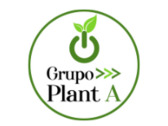 Grupo Plant A