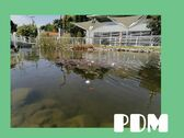 Logo PDM Asistencia Especializada Ambiental