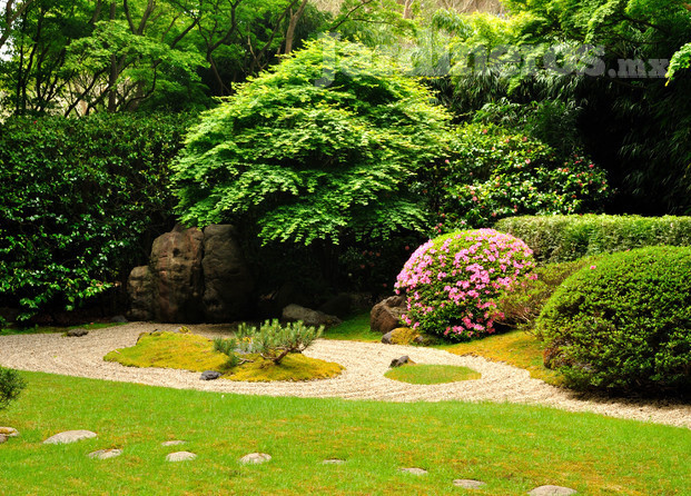 Jardin japonés