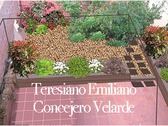 Teresiano Emiliano Concejero Velarde