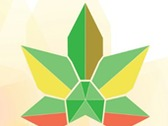 Logo LIQUIDAMBAR JARDINERIA DE XALAPA