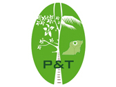 Logo Palms & Trees
