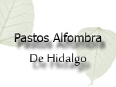 Pastos Alfombra De Hidalgo