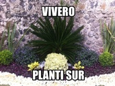 Vivero Plantisur