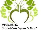 Logo Vivero La Pradera