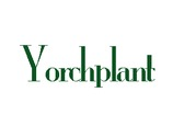 Yorchplant