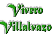 Vivero Villalvazo