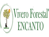 Logo Vivero Forestal Encanto