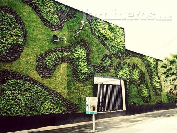 Muros Verdes & Paisajista MX 