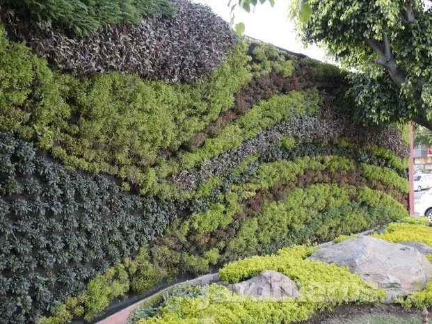 jardineria muros verdes jalisco 