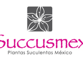Logo Succusmex / Plantas Suculentas México