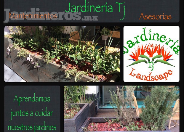 Jardinería Tj