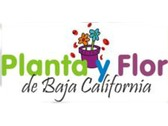 Logo Planta y Flor de Baja California