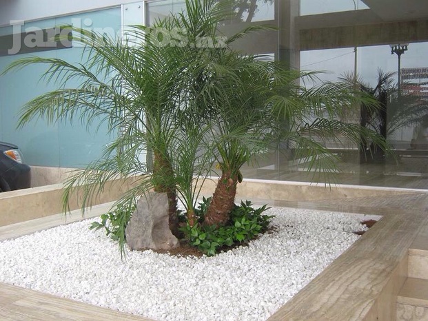 Jardín minimalista con piedra marmol.