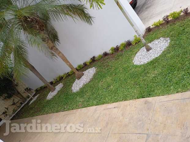 Mantenimiento Jardines en Mérida - Tzal Jardinería - Jardineros profesionales