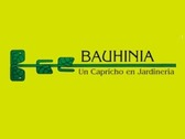 Logo Bauhinia un capricho en jardinería