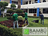 Bambú Jardinería (Mantenimiento residencial e empresarial)