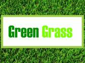 Green Grass Cabo