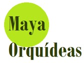 Maya Orquídeas