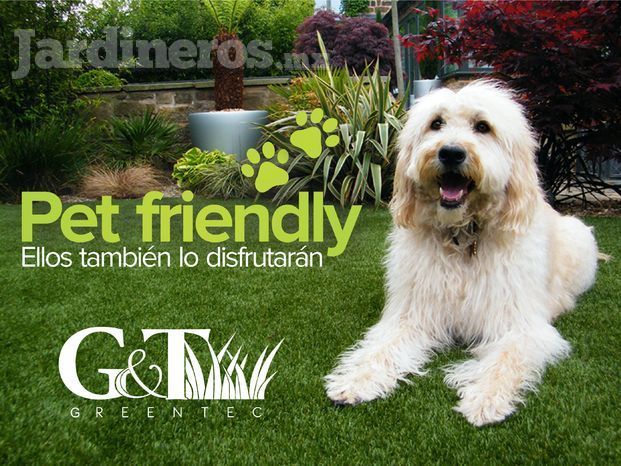 Greentec - Pet friendly
