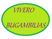 Vivero Bugambilias