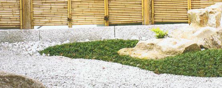 zen-2.jpg