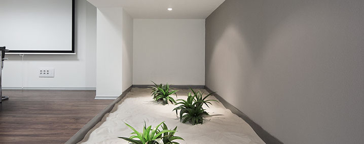 zen-3.jpg