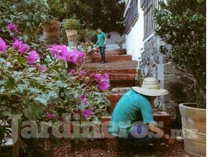 Garantía limitada de cambio de planta en proyectos de sembrado