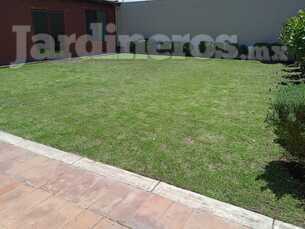Servicio de Jardinería Integral para Fraccionamientos y Áreas Residenciales