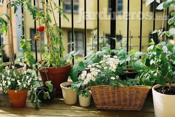 ¿Poco espacio? Ideas para el jardín