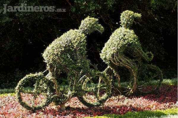 Paisajismo y Jardinería Amarillas