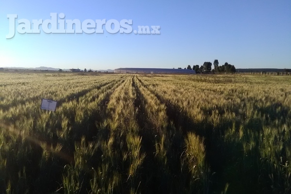 Silos de agua