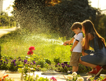 ¿Cuáles son los cuidados que se deben tener para un jardín?