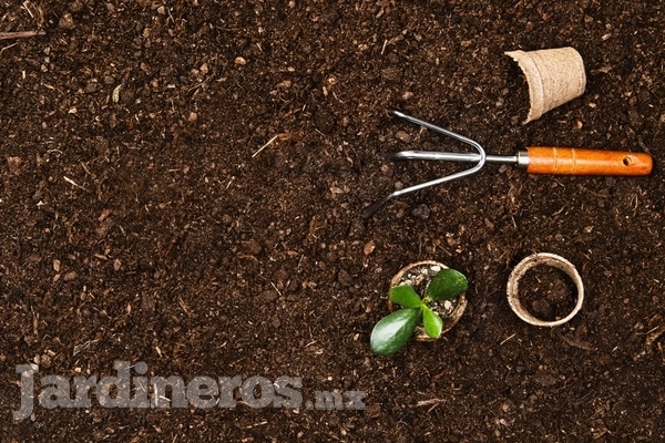 ¿Cómo elegir el mejor tipo de tierra para tu jardín?