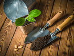 ¿Cuáles son las herramientas para jardín que se necesitan?