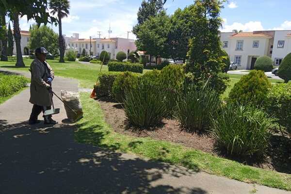 "Plantas Saludables: Cómo un Ingeniero Agrónomo Puede Proteger tu Jardín"