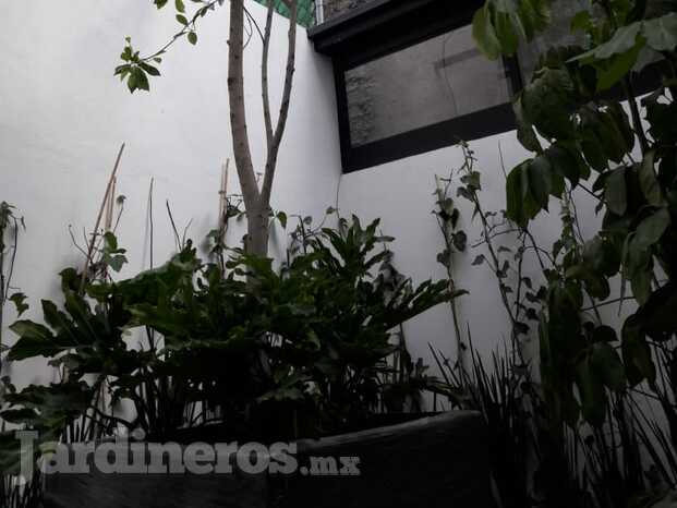 Macetas en terraza