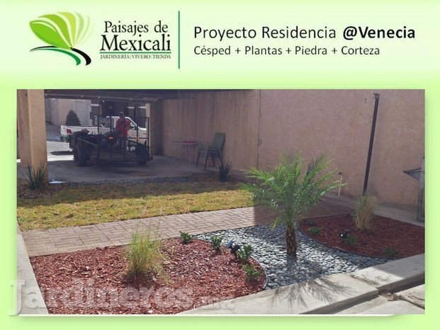 Proyecto en Venecia.jpg