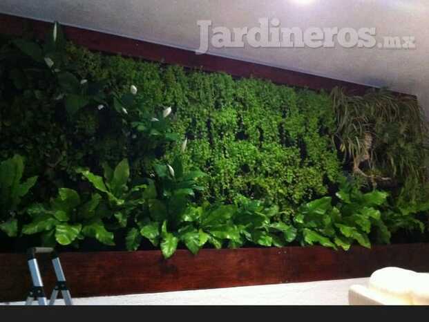Bio Muros Verdes  en interior Plakarq 3.jpeg