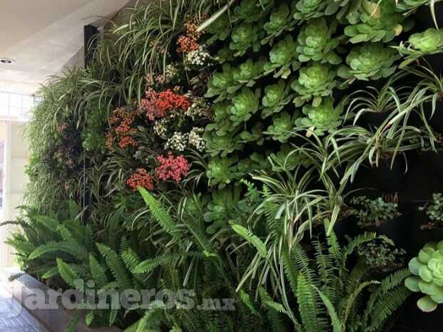Bio MURO VERDE Plakarq 5.jpeg