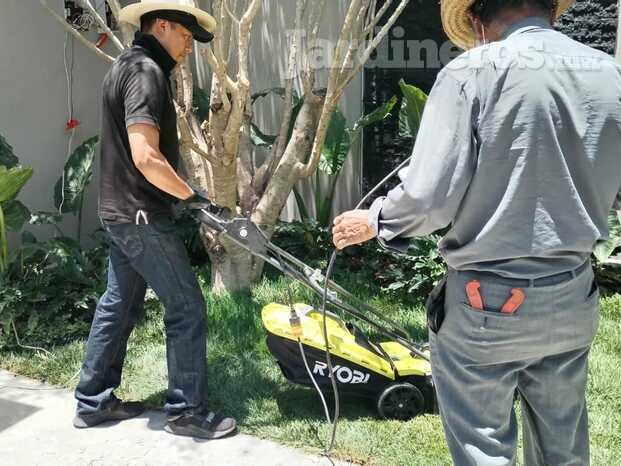 Mantenimiento especializado de Jardín.jpeg