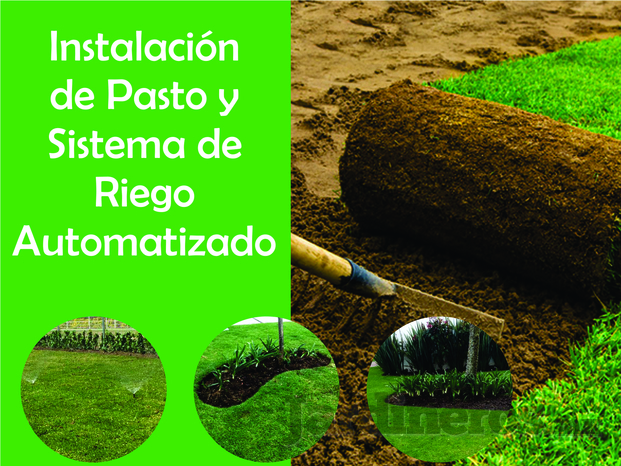 instalacion de pasto.jpg