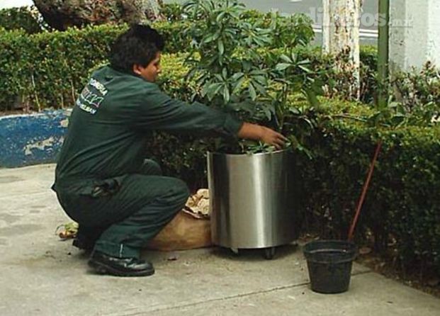 Jardinería