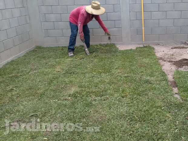 mexgarden - instalacion de pasto en rollo