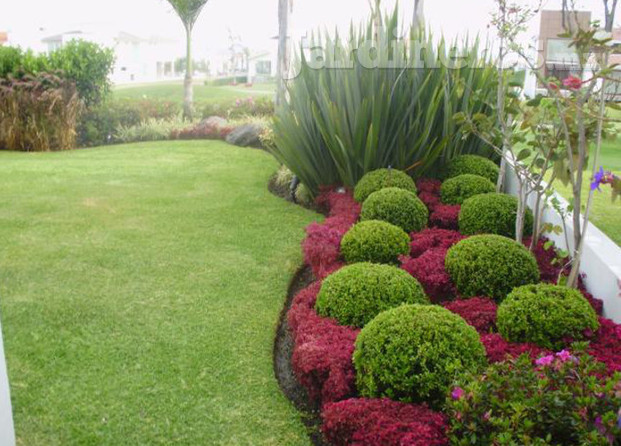 Rb Arquezine Jardinería